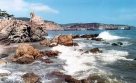 Customized Full Day Tour in Dalian (Trip#863109)