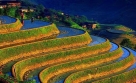 Bali Classic Tour (Trip#621108)