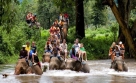Koh Samui Fun Tour (Trip#663108)