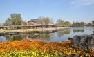 Tianjin Historical Tour (Tianjin Port) (Trip#861206)